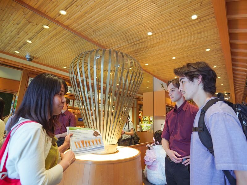 Kyoto Gion Tea ceremony & Wabi-sabi Walking Tour - Who will enjoy this Kyoto tour most?