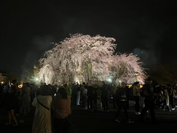Kyoto: Gion Walking Tour - Customer Feedback