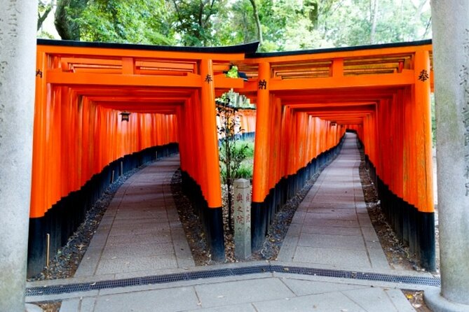 Kyoto Golden Route 1 Day Bus Tour From Osaka or Kyoto - Important Information
