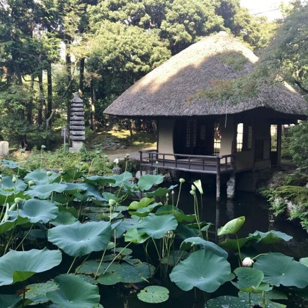 Kyoto: Group Tea Ceremony in a Japanese Painter's Garden - The Sum Up