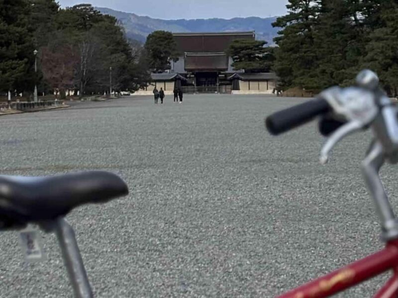 Kyoto: Guided Bicycle Tour with Entry to Sanjusangen-do etc - An In-Depth Look at the Kyoto Bicycle Tour