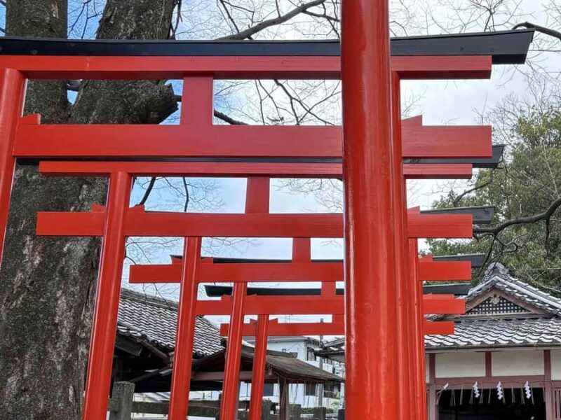 Kyoto: Guided Bicycle Tour with Entry to Sanjusangen-do etc - Final Thoughts