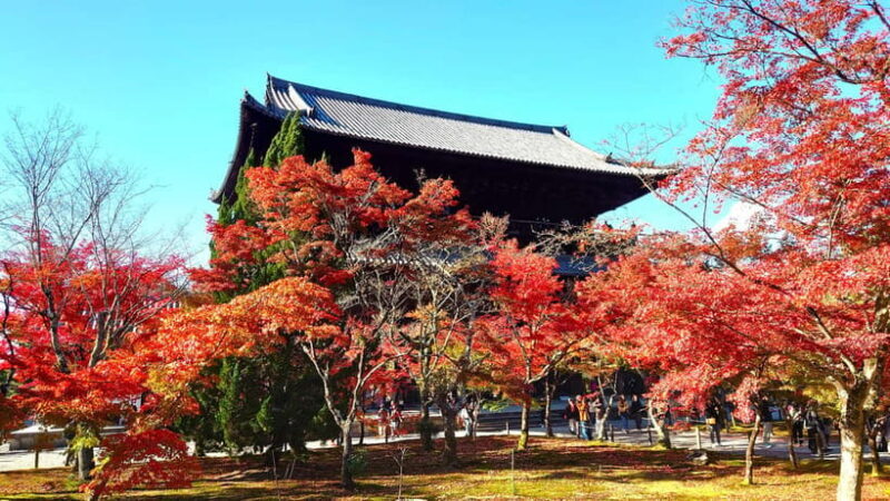Kyoto: Guided Cycling Tour along Higashiyama's Waterfront - What to Expect on the Tour