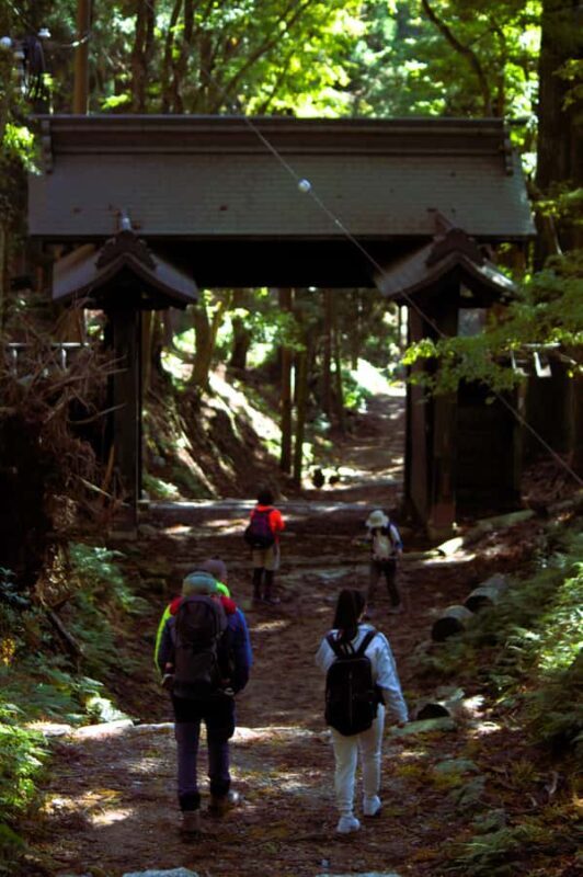 Kyoto: Guided Hike to Mt. Atago, Kyotos Highest Peak - An Authentic Taste of Kyoto’s Nature and Culture