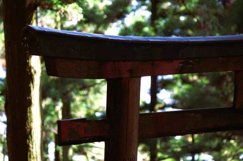 Kyoto: Guided Hike to Mt. Atago, Kyotos Highest Peak - Practical Details and What to Prepare