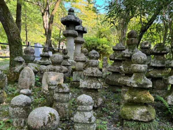 Kyoto: Guided Tour in UNESCO Site, Kiyomizu-dera - 90 Min. - Unique Architectural Features