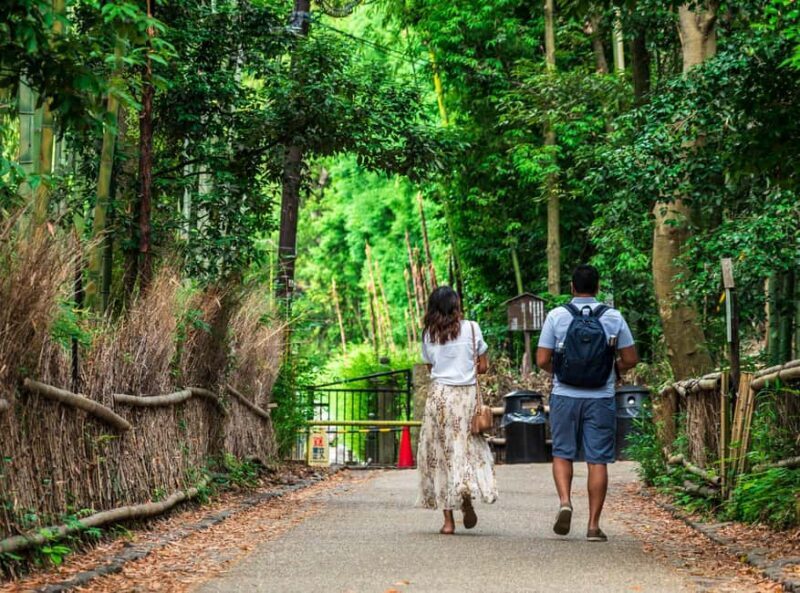 Kyoto: Guided Tour of Bamboo Forest, Temple and more - What You’ll Love About This Tour