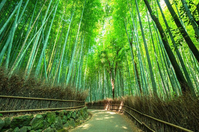 Kyoto Guided Tour of Bamboo Forest, Temple and more - Practical Details and What You Can Expect