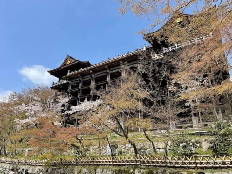 Kyoto: Guided Tour of Great Festivals and Cultural Events - An Inside Look at the Kyoto Festival Tour