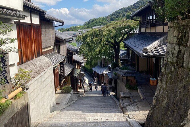 Kyoto Guided Walking Tour Highlight of Kiyomizu & Fushimi Inari - Practical Details and Tips