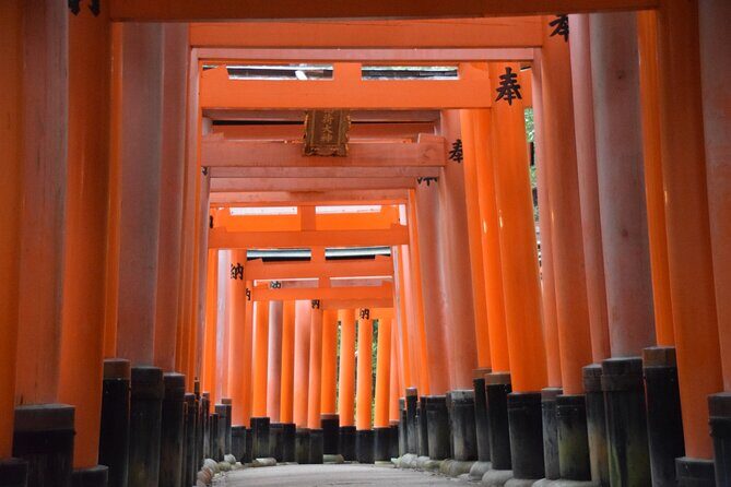 Kyoto Guided Walking Tour Highlight of Kiyomizu & Fushimi Inari - What Reviewers Say