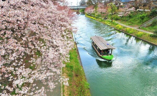 Kyoto: Guided Walking Tour of Fushimi With Private Option - Common Questions