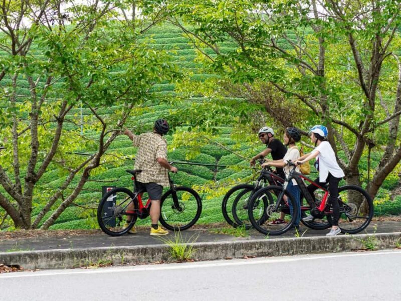 Kyoto: Half Day Countryside E-Bike Tour with Lunch - FAQ