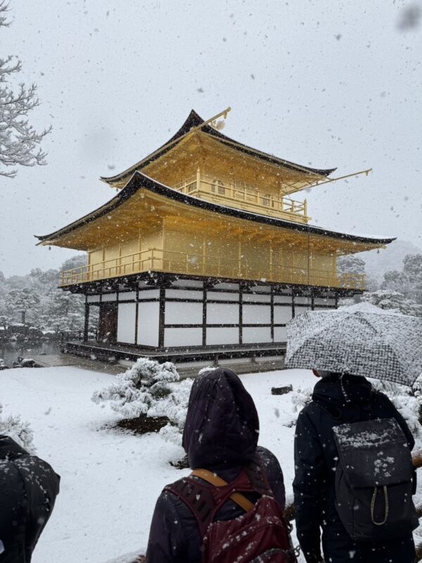 Kyoto Half-Day Electric Bike Tour with Guide - What the ride feels like over several hours