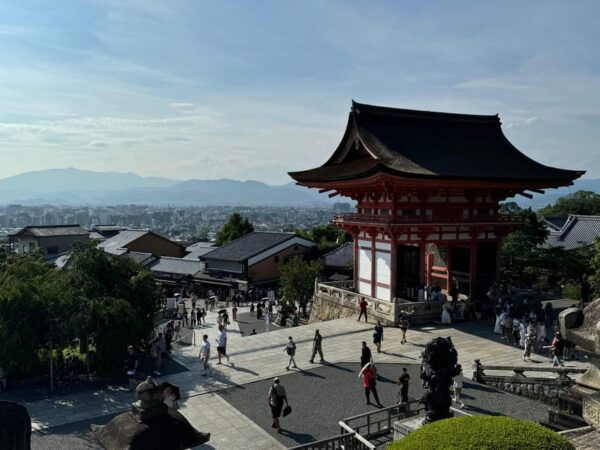 Kyoto: Half-Day Geisha and Cultural Heritage Tour - Customer Feedback and Reviews