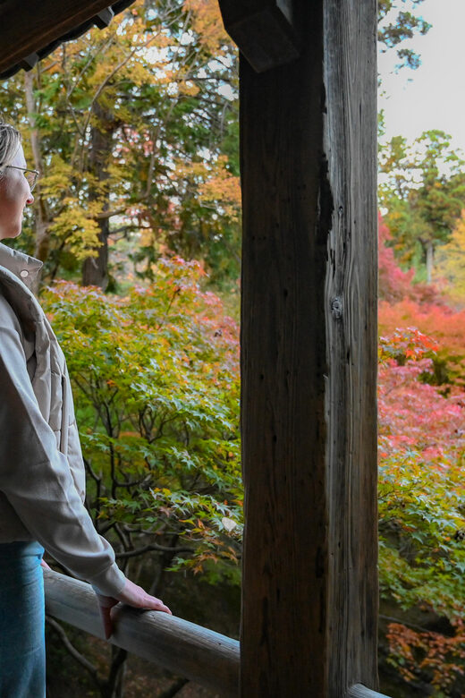 Kyoto: Half-day Guided Bike Tour with Fushimi Inari - FAQ