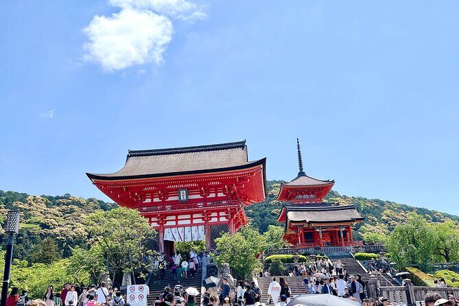 Kyoto Half Day Highlights Tour - Final Thoughts