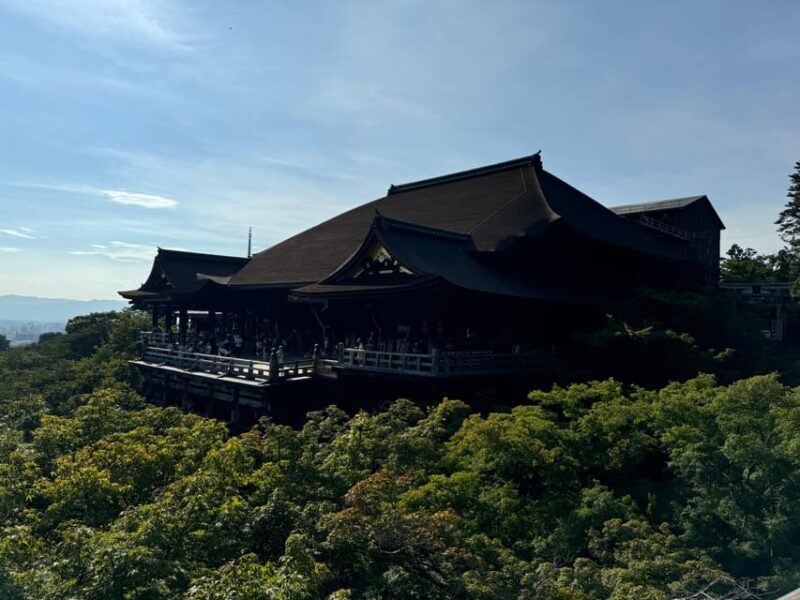 Kyoto: Half-Day Private Tour Gion Geisha District & Kiyomizu - Who Should Book This Tour?