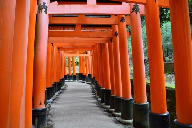 Kyoto Heritage: Fushimi Inari's Mystery & Kiyomizu Temple - Who Will Love This Tour?