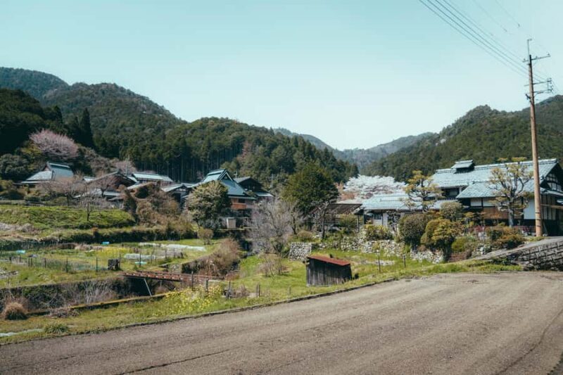 Kyoto: Hidden Gems and Local Neighborhoods - A Deep Dive Into the Experience