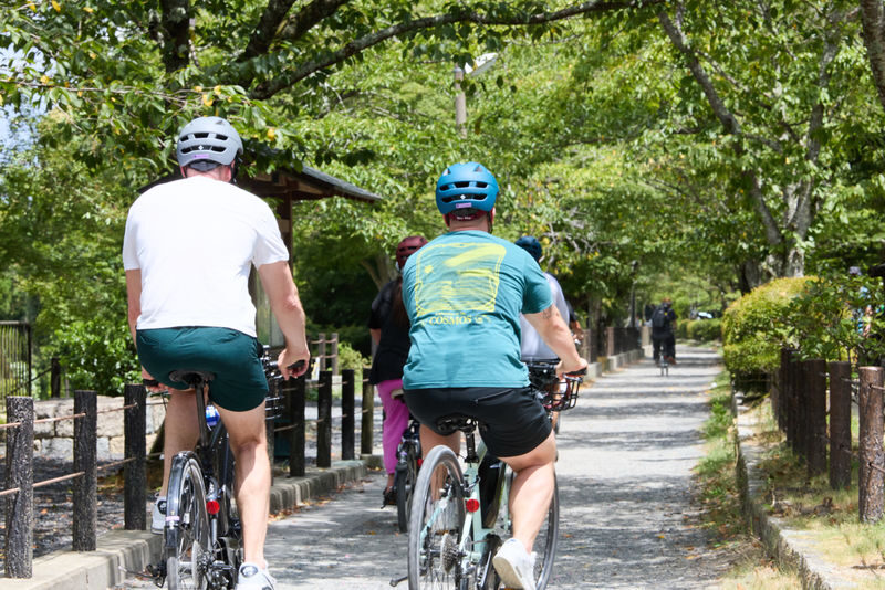 Kyoto Hidden Gems E-Bike Tour Through Backstreets & Temples - Booking details to check