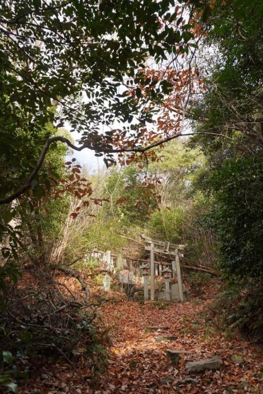 Kyoto: Hidden Spirit Realm Guided Tour - Good To Know