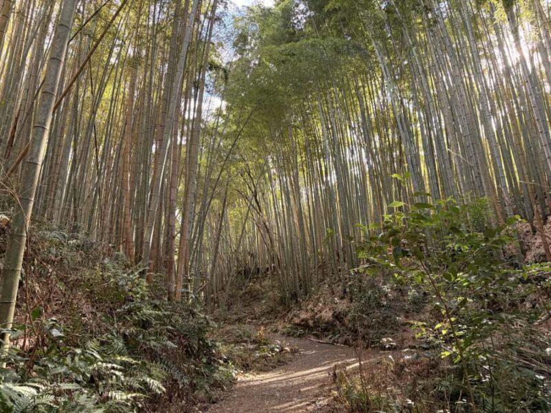 Kyoto: Hidden Spirit Realm Guided Tour - An Inside Look at the Kyoto Hidden Spirit Realm Guided Tour