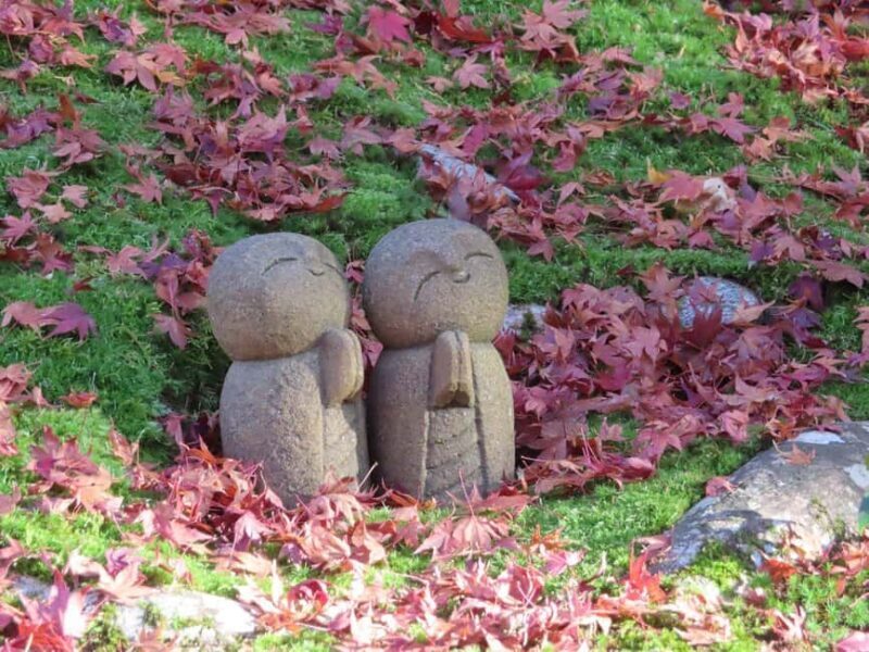 Kyoto: Hidden Temples and Tea Ceremony Tour - FAQ