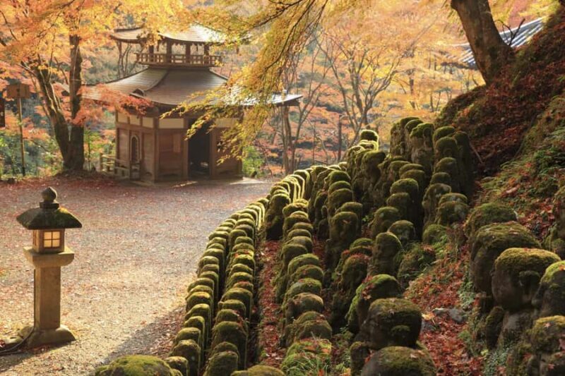 Kyoto: Hidden Temples Guided Tour with Arashiyama Visit - Exploring Kyoto’s Hidden Temples: An Authentic Journey