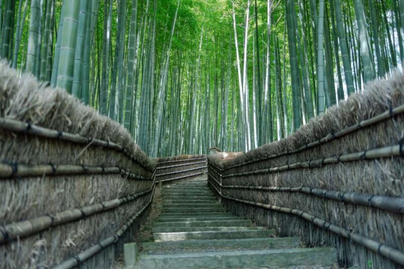 Kyoto: Hidden Temples Guided Tour with Arashiyama Visit - Why This Tour Is Worth Considering