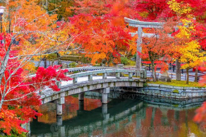 Kyoto: Higashiyama Hues: Discover Kyotos Autumn Magic - Included Features