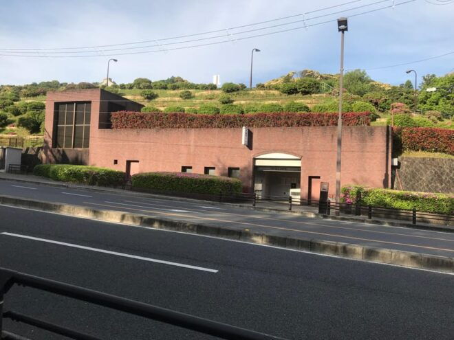 Kyoto: Higashiyama Hues: Discover Kyotos Autumn Magic - Participant Information