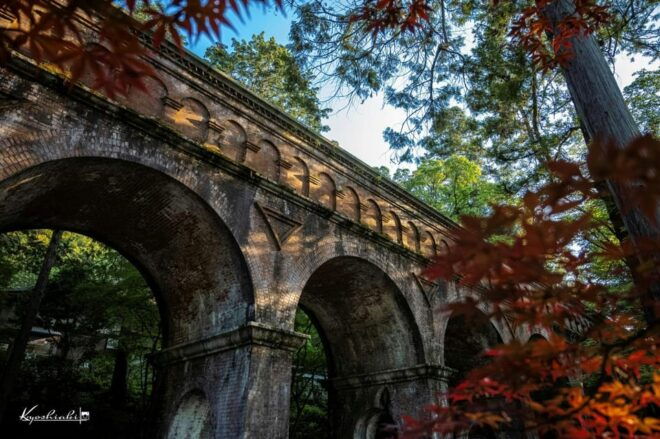 Kyoto: Higashiyama Hues: Discover Kyotos Autumn Magic - Important Tips