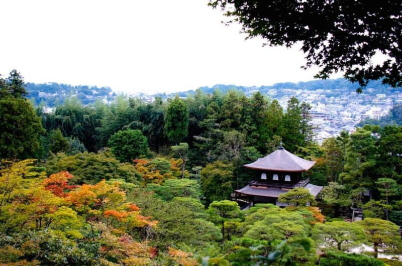 Kyoto: Highlights Guided Walking Tour - Authentic Experiences and Hidden Gems
