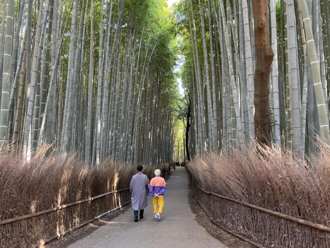 Kyoto: Highlights of Arashiyama in 2 Hours - Guided Tour - Scenic Views at Togetsukyo Bridge