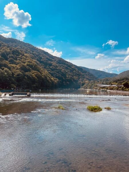 Kyoto: Highlights of Arashiyama in 2 Hours - Guided Tour - Exploring Tenryu-ji Temple