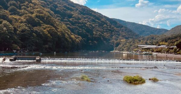 Kyoto: Highlights of Arashiyama in 2 Hours - Guided Tour - Tips for a Great Experience