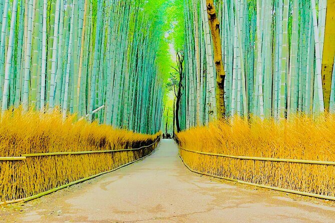 Kyoto Highlights Private Car Day Tour with English Speaking Guide - Stop 1: Arashiyama Bamboo Forest