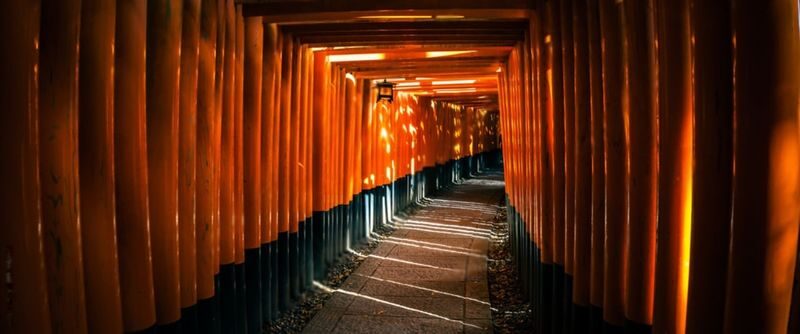 Kyoto Highlights Private Day Trip (Departure from Osaka/Kyoto) - A private ride, not a guided walking tour
