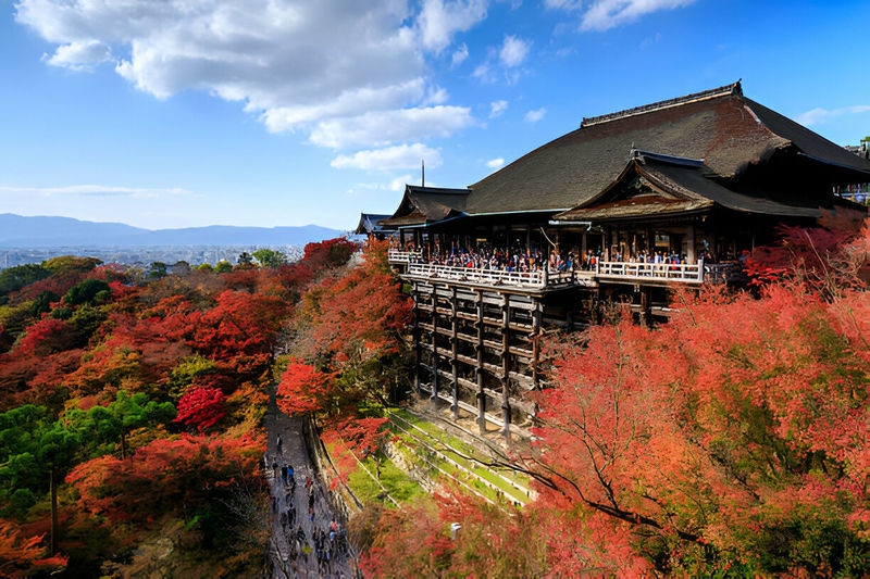 Kyoto Highlights Private Day Trip (Departure from Osaka/Kyoto) - Who should book this Kyoto day trip?