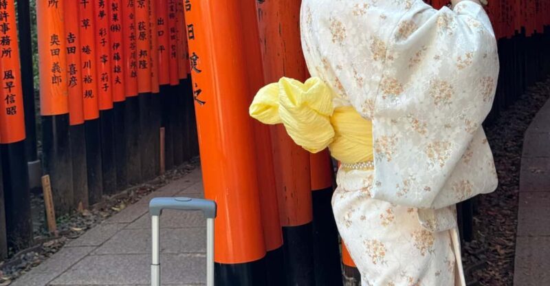 Kyoto Highlights Private Tour - Good To Know