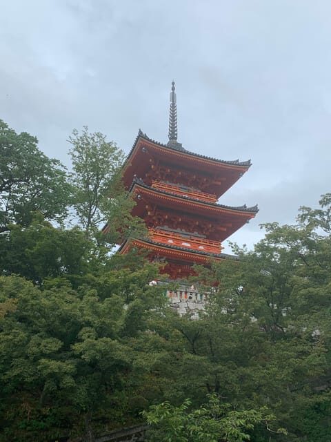 Kyoto Highlights Private Tour - What to Expect from the Kyoto Highlights Private Tour