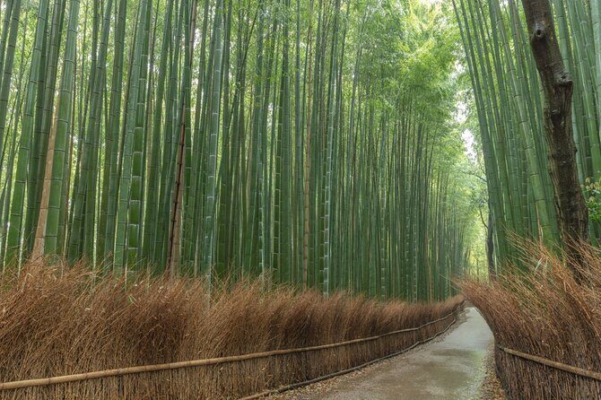 Kyoto Highlights Private Walking Tour - The Sum Up