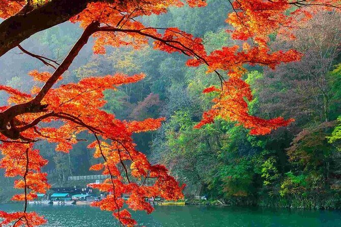 Kyoto Highlights Tour: Arashiyama, Nara Park and Fushimi Inari - The Experience in Detail