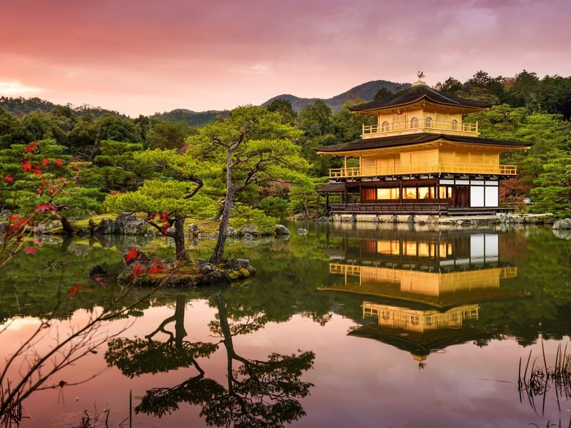 Kyoto Highlights: World Heritage Half Day Tour - What to know before you book