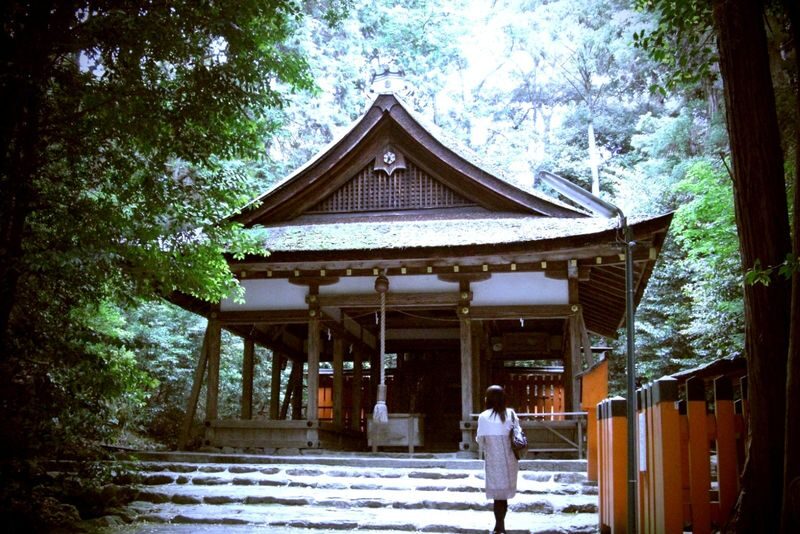 Kyoto Highlights: World Heritage Half Day Tour - A helpful guide, with a few booking details to check