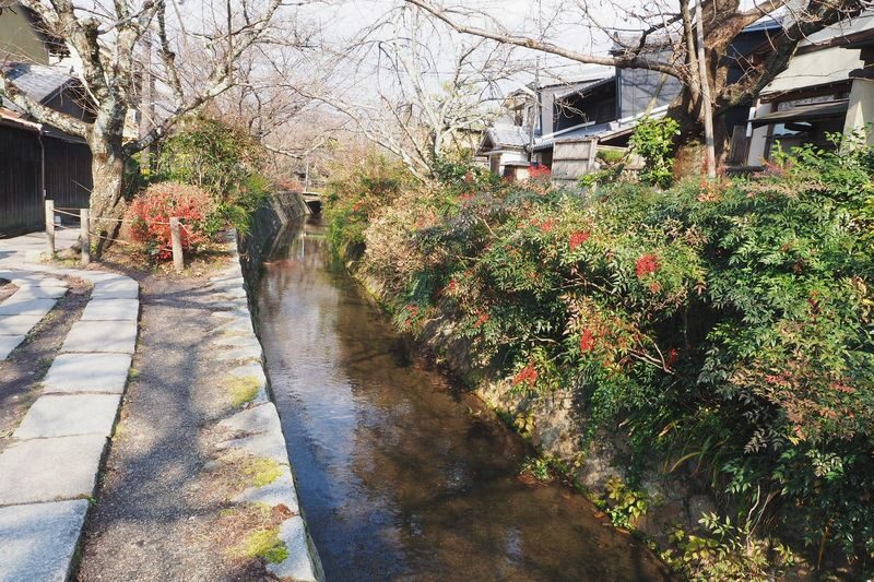 Kyoto Highlights: World Heritage Half Day Tour - Is this Kyoto tour worth booking?