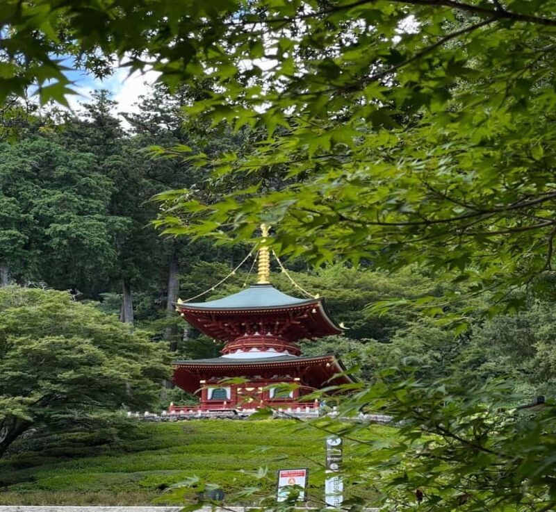 Kyoto: Hiroshima and Miyajima Day Trip with Guide - The Sum Up