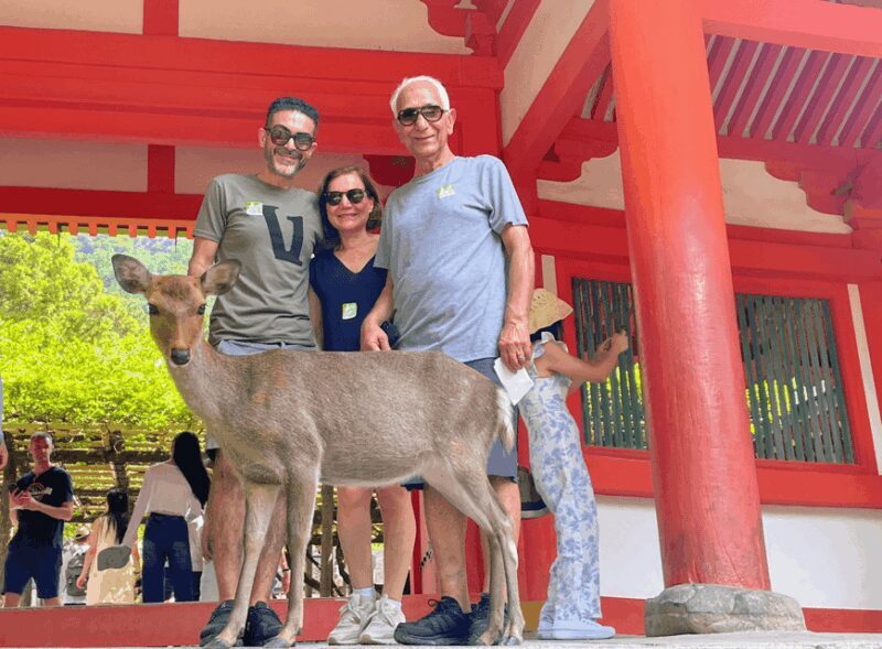 Kyoto: Historical Nara & Kyoto Bus Tour - Frequently Asked Questions