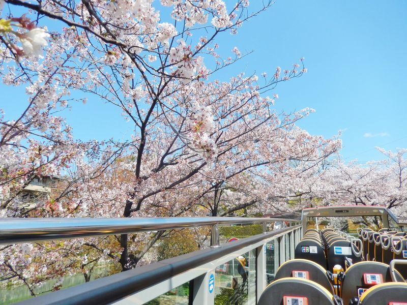 Kyoto Hop-On Hop-off sightseeing bus by Skyhop Bus (1day / 2days ticket) - Kyoto from the upper deck